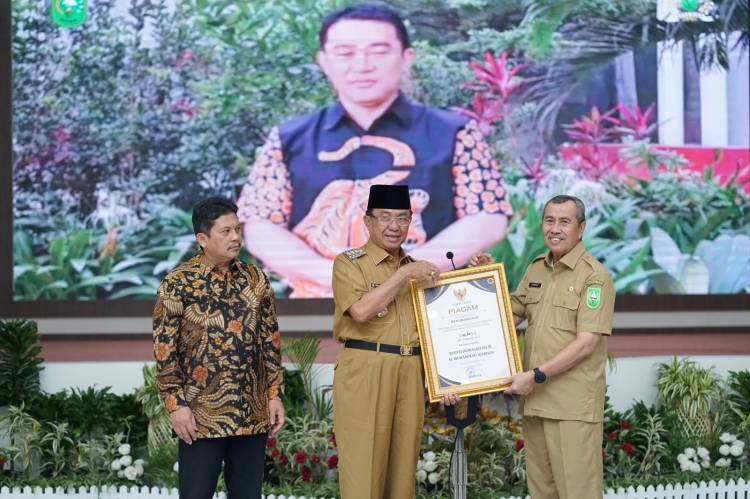 Bupati Inhil HM WARDAN Terima Piagam Penghargaan Capaian Jaminan Kesehatan Semesta Universal Health Coverage 