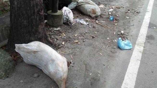 PENEMUAN BANGKAI BABI YANG MENGHEBOHKAN DI MEDSOS,PELAKU MENGAKU DI UPAH RP 500 RIBU