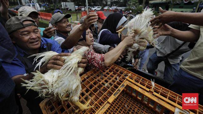 Kepala Staf Kepresidenan Moeldoko Usulkan Agar Setiap Keluarga Memelihara Satu Ekor Ayam