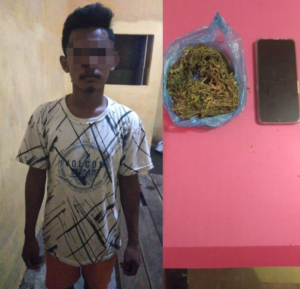 Bawa Sekantong Daun Ganja Kering, Seorang Pemuda Ditangkap Polsek Tapung Hulu