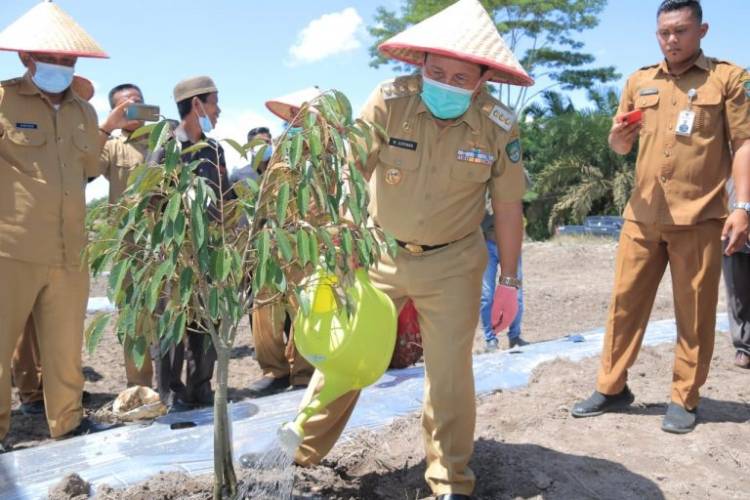 Bupati Rohul Dukung Pengembangan Penanaman Semangka dan Durian