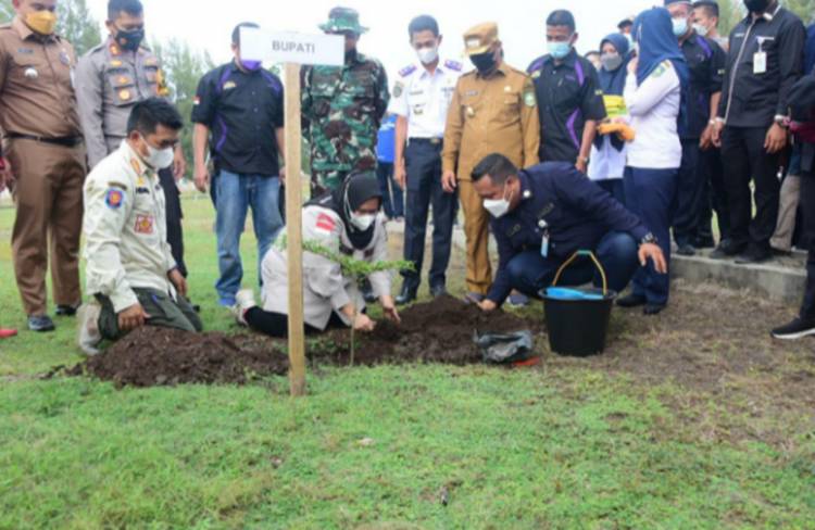 Bupati Bengkalis Kasmarni Tanam Pohon Penghijauan di Pelabuhan BSSR