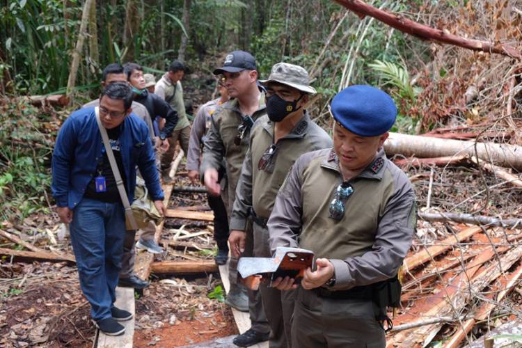 Kapolda Riau: Perambahan Hutan Di Cagar Biosfer Adalah Tindakan Kriminal yang Harus Dihentikan