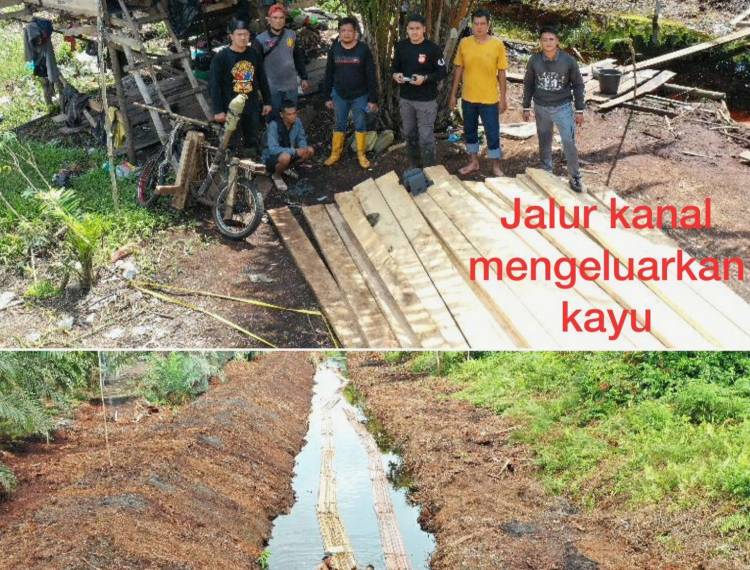 Polisi Amankan 2 Pelaku Ilegal Logging di Rokan Hilir