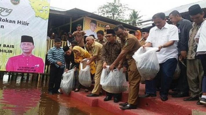 Selamatkan Populasi Ikan Baung di Rohil, Pemprov Riau dan Pemkab Rokan Hilir Tabur 58 Ribu Ekor Benih