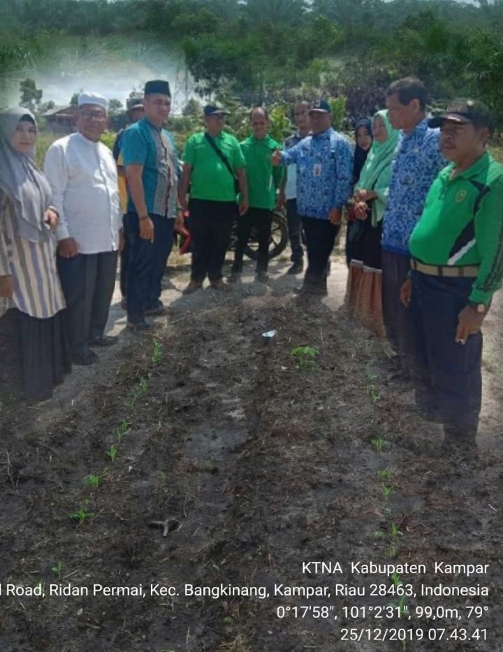 Kelompok  Kontak Tani Nelayan Andalan KTNA Kab.Kampar Ajak Petani Budi daya PAJALE