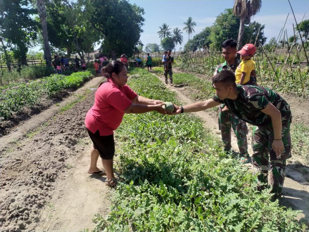 Peduli Pada Sesama, Satgas Pamtas RI-RDTL Yonif 132/BS, Bagikan Hasil Panen Kepada Masyarakat