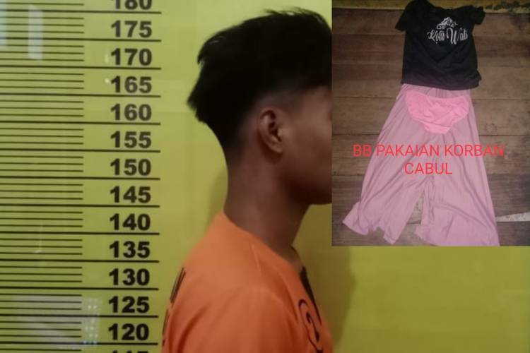 Ancam Viralkan Pernah Lakukan Hubungan Suami Istri, Pemuda di Rohil ini Diciduk Polisi