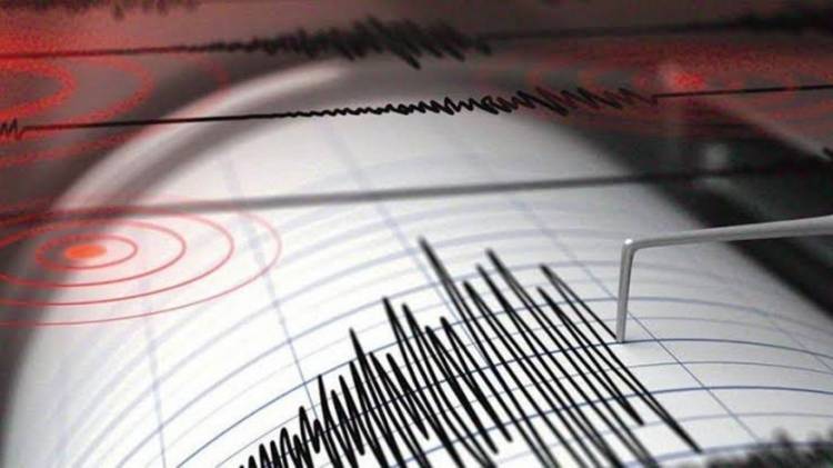 Gempa Sangat Kuat dengan Magnitudo 7,4 Guncang Kabupaten Maluku Barat Daya