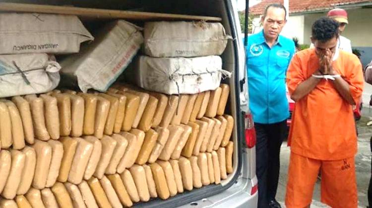Penangkapan Sindikat Narkoba Lintas Sumatera, Setengah Ton Ganja Berhasil Diamankan