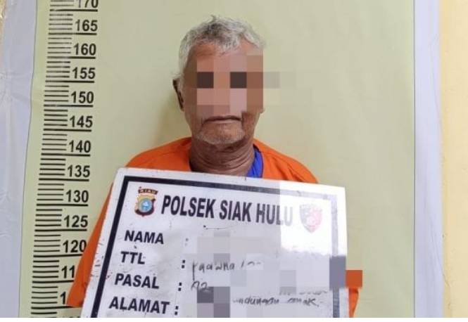 Kakek 67 Tahun Di Kampar Cabuli Balita 4 Tahun