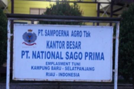  Ir. Erwin Pimpnan Cabang PT NSP Meranti Dapat Penangguhan Penahanan