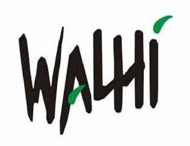  Walhi Riau Desak Majelis Hakim Diganti, Jelang Vonis PT.NSP