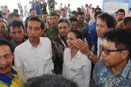 Pekanbaru-Kandis, Dumai  panjang 126 km Pembangunan tol Trans Sumatera tahap pertama.