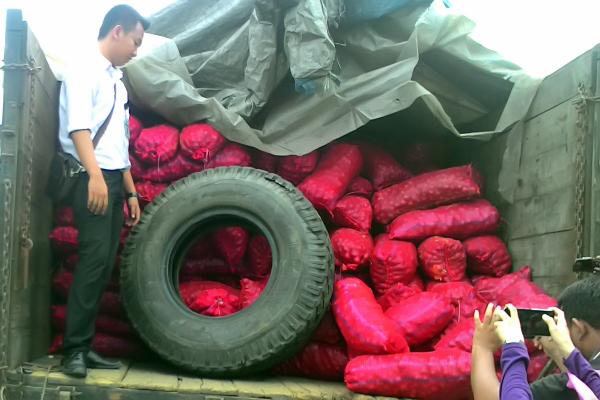 2 Truk Bawang Merah Tak Bertuan Diamankan KPPBC Dumai