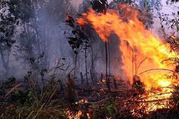 Antisipasi Kartuhala, BPBD-Damkar Tingkatkan Pengamanan