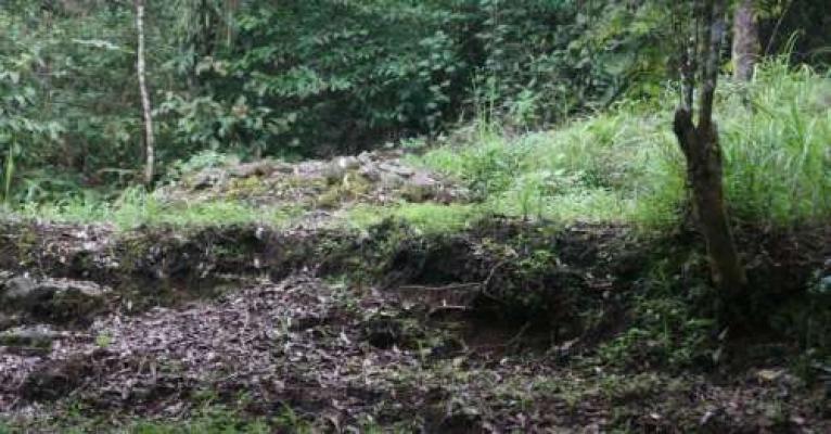 Candi Baru Ditemukan di Lereng Gunung Lawu