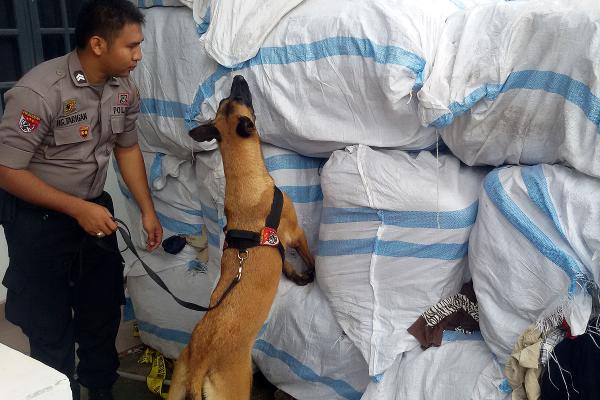 207 Ball Pakaian Bekas Dilacak Dua Anjing K9, Satpol Air Tidak Temukan Narkotika