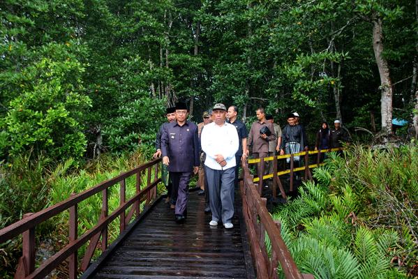 Keasrian Hutan Mangrove Di Negeri Seribu Parit Indragiri Hilir