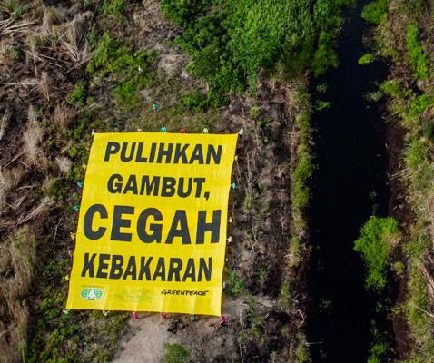 Meranti Jadi Pusat Kajian Badan Restorasi Gambut