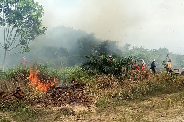 Pembakaran Lahan Kembali Terjadi Di Kecamatan Sungai Sembilan