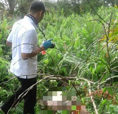 Mayat Wanita Tanpa Identitas Ditemukan Membusuk di Kebun Sawit Warga