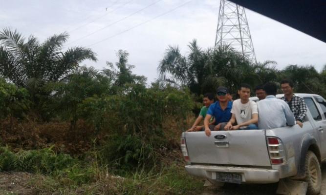 Puluhan Tenaga Kerja Asing Ilegal Tertangkap di Pekanbaru, Ini Tanggapan DPRD