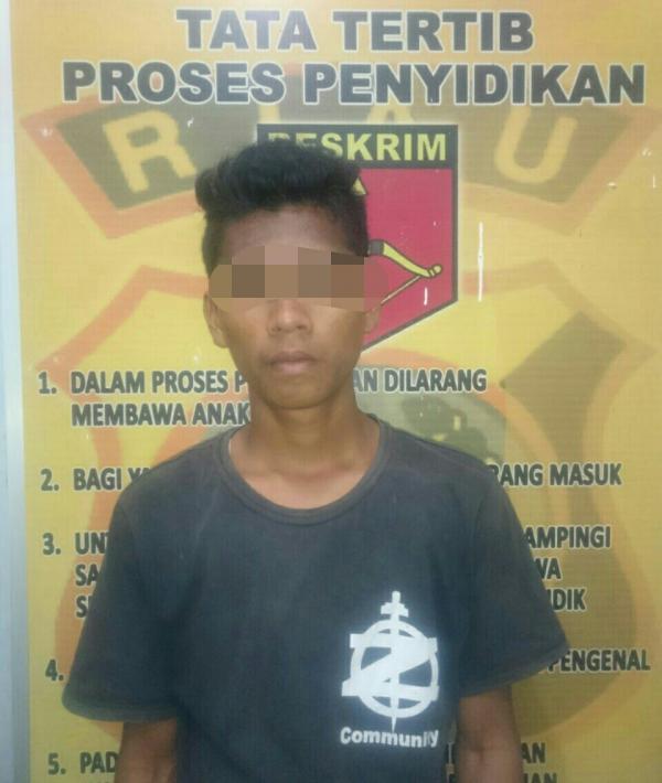 Bawa Kabur Anak Gadis Dibawah Umur, Pria Asal Pasaman Ini Dibekuk Polisi 