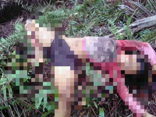 Harimau mengamuk satu orang meninggal dunia