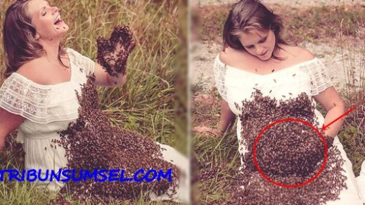 Ibu Hamil Berpose Dengan Kawanan Lebah,Tak Diduga 6 Hari Sebelum Kelahiran,Hal Mengerikan Terjadi