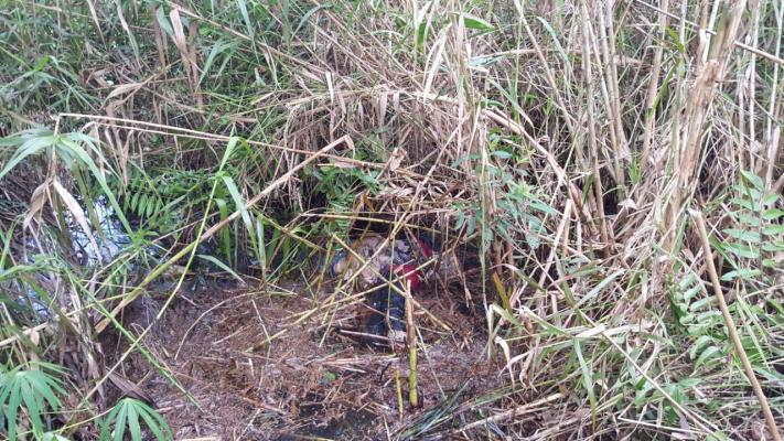 Masyarakat Desa Sialang Panjang, Inhil Dihebohkan Dengan Penemuan Mayat Wanita 