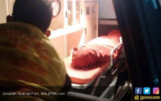 Nahas, Pria Ini Meninggal Setelah Tersengat Belasan Tawon