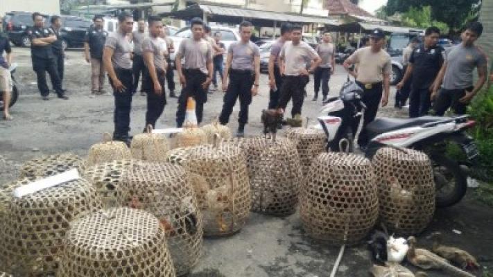 Suarjana Berjualan Ayam Panggang, Ayamnya dari Hasil Curian