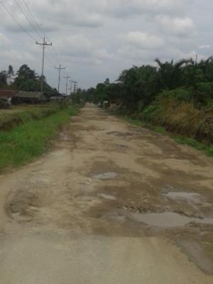 Sepanjang 30 Km Jalan Rusak Parah, Warga Harapkan Pemerintah Lebih Serius