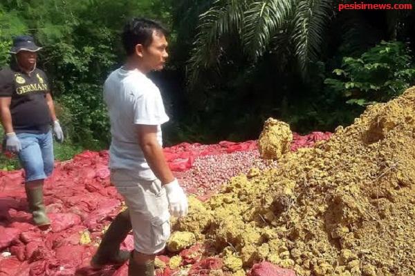 100 Ton Lebih Bawang Merah Ilegal Dimusnahkan