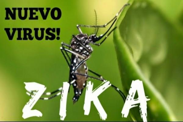 Alhamdulillah, Virus Zika Belum Terdeksi di Kota Dumai
