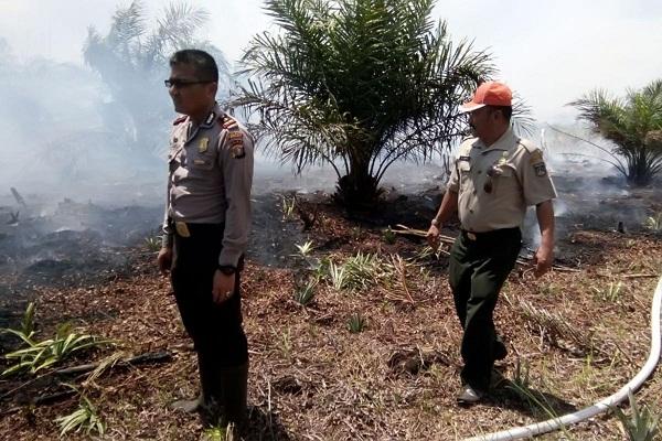 Polisi Kejar Pembakar Satu Hektare Lahan di Jalan Lintas Kota Dumai Pakning