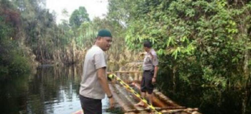 Ratusan Kayu Hasil Ilog Ditemukan Polisi di Aliran Sungai Kampar Salempaya Pelalawan