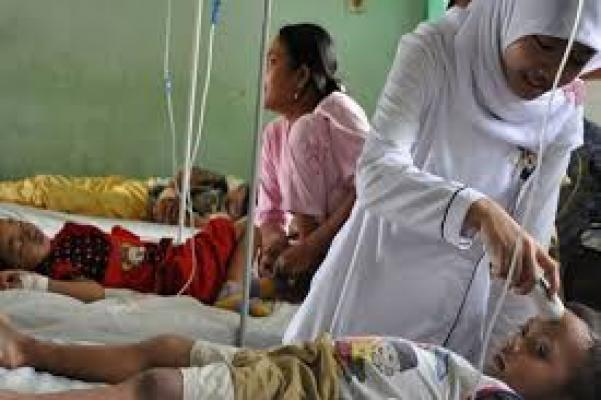 Sudah 152 Kasus DBD di Pekanbaru, 5 Orang Meninggal Dunia