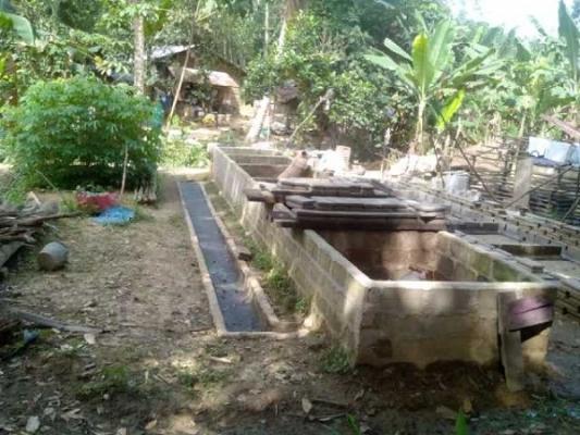Warga Hampir Saling Bacok Karena Limbah Ternak Babi, Pemkab Inhu Diminta Bertindak  