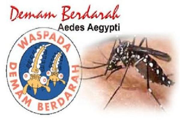 Waspada ! DBD Mengancam Keluarga Anda