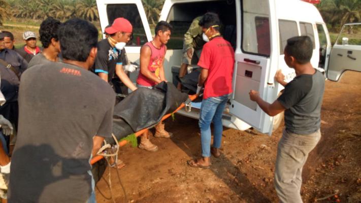 Joko Ditemukan Tewas di Kebun PT THIP, Pelangiran, Polisi Ringkus Rekan Korban