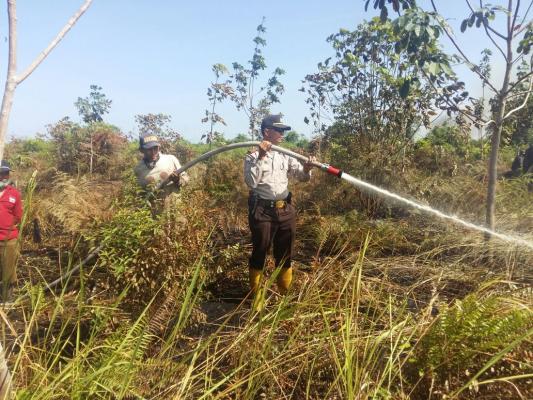 Karhutla  Dua Titik Di Pulau Rupat Terkendali, PT SRL Terlibat Aktif Padamkan Api