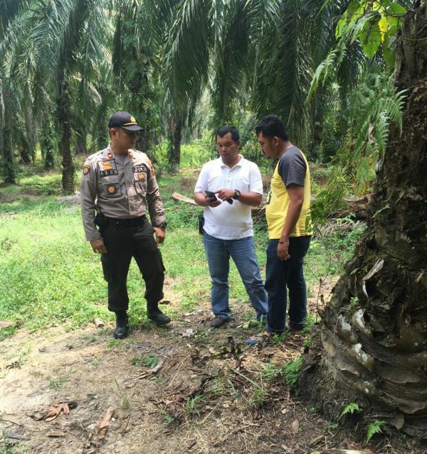 Sunguh Malang, Anak Kelas 3 SD di Rohil Jadi Korban Pencabulan 