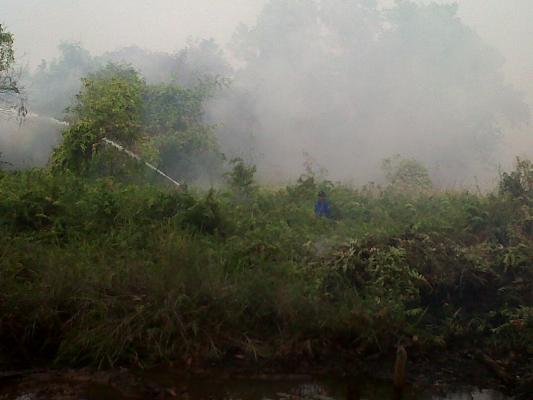 Lahan di Samping Kantor Desa Alahair Timur Terbakar