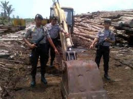 Sebanyak 3.016 Kayu ilegal Di Amankan Polres Meranti