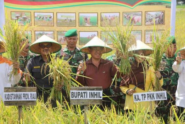 Bupati Inhil Hadiri Panen Raya di Kelurahan Kempas Jaya Kacamatan Kempas