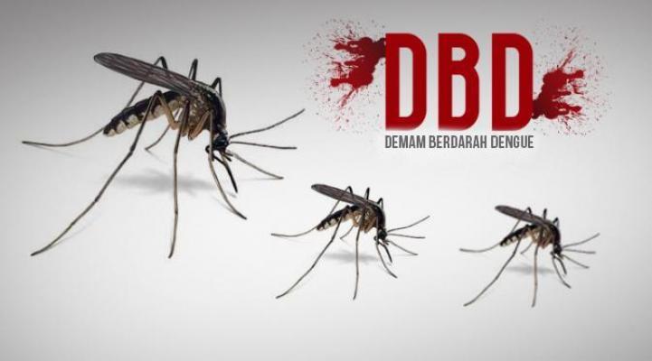 Anggota DPRD Pekanbaru Ini Akan Temui Walikota Minta Kadiskes Dicopot