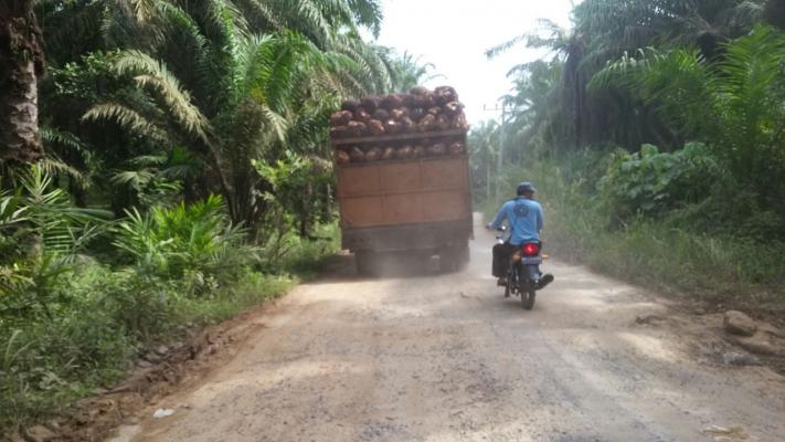 Jalan Boktrem Bagan Sinembah Barat Rusak Parah, Butuh Perhatian Pemerintah