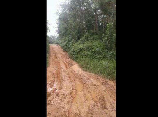 Menyedihkan, Akses Jalan ke SDN 026 Talang Gedabu Inhu Seperti Kubangan Kerbau